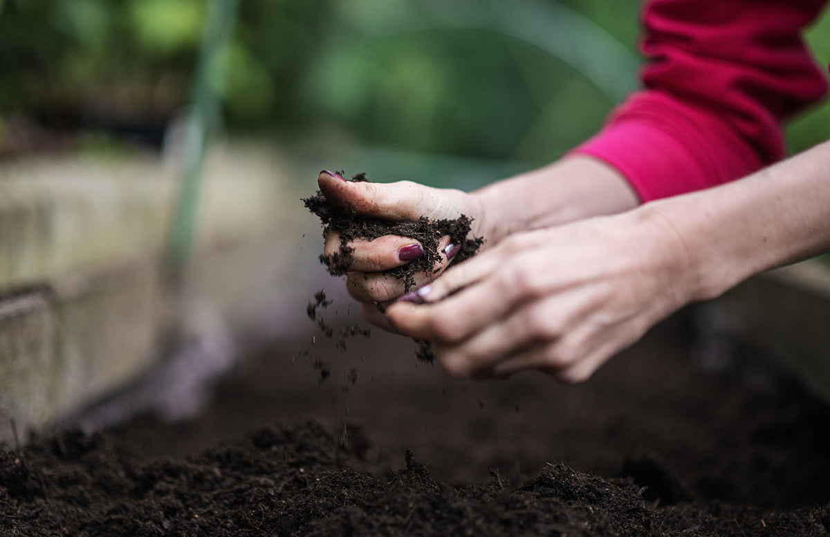 Acide Humique tourbe