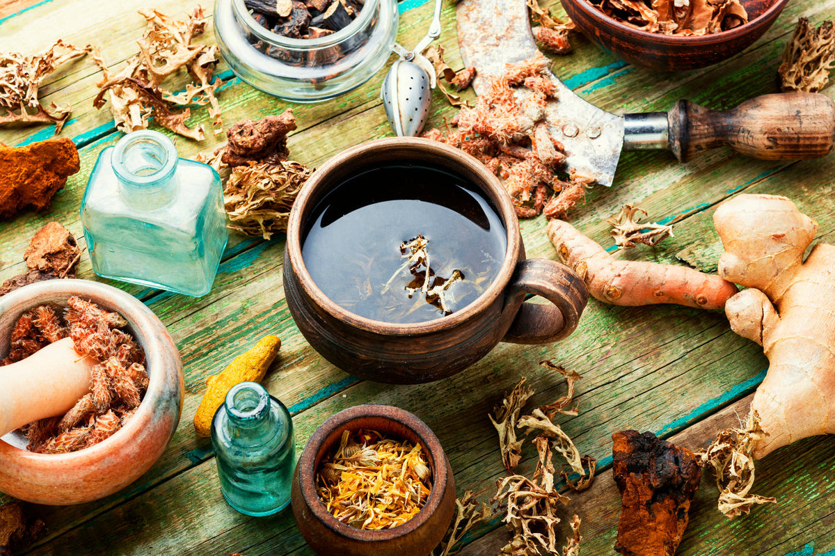 Thé et herbes thérapeutiques harpagophytum griffe du diable
