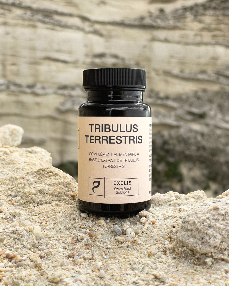 Complément alimentaire à base d'extrait de Tribulus Terrestris - Exelis