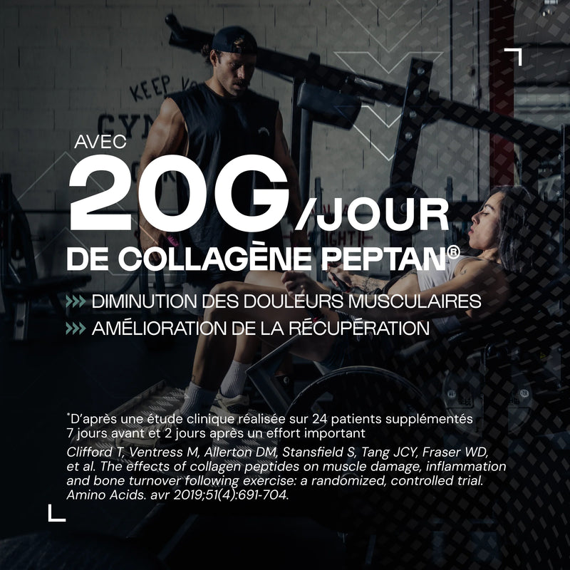 Collagène Peptan® Matcha-Framboise Nutrimuscle 500g - Peptides de Collagène Type 1