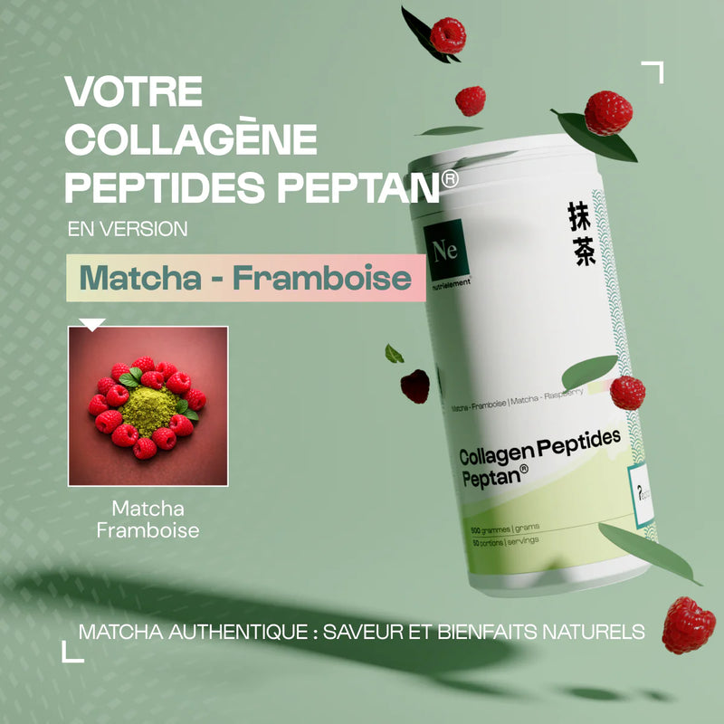 Collagène Peptan® Matcha-Framboise Nutrimuscle 500g - Peptides de Collagène Type 1