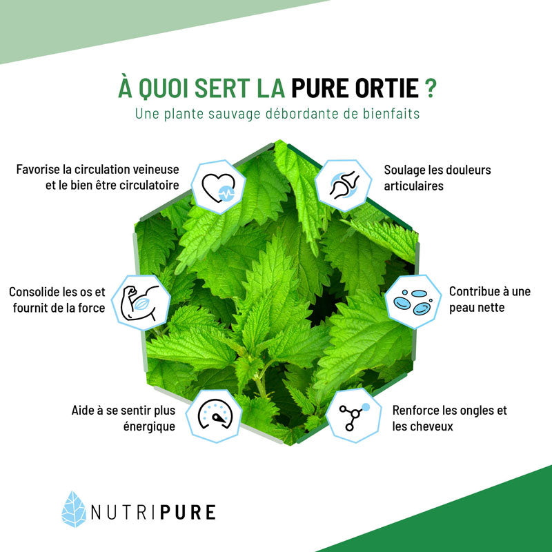 Foglie di Ortica Bio in Polvere 150 g Nutripure