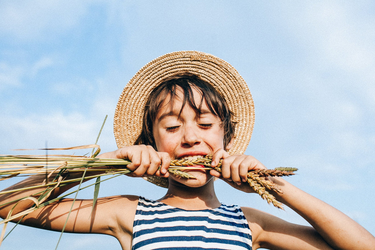 Comment fonctionne le système digestif ?