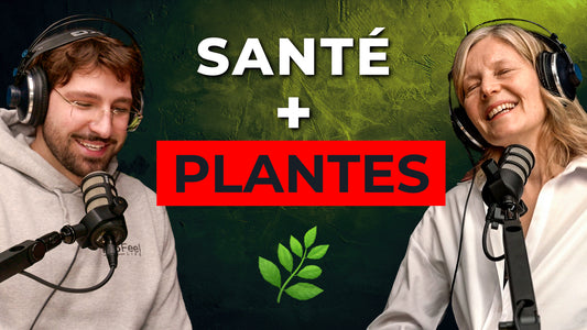 Santé par les Plantes - Café Santé #11