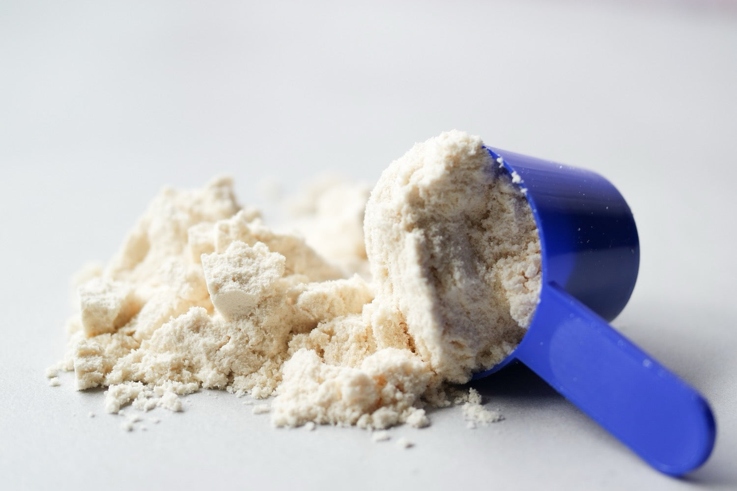 Quels sont les différents types de whey protéine ? – ProFeel Life