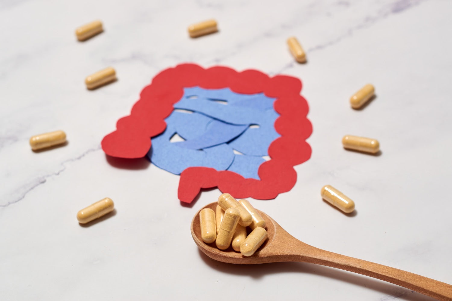 Intestin poreux probiotiques