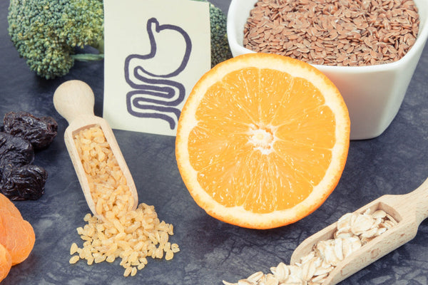 système digestif sain - probiotique - prébiotique