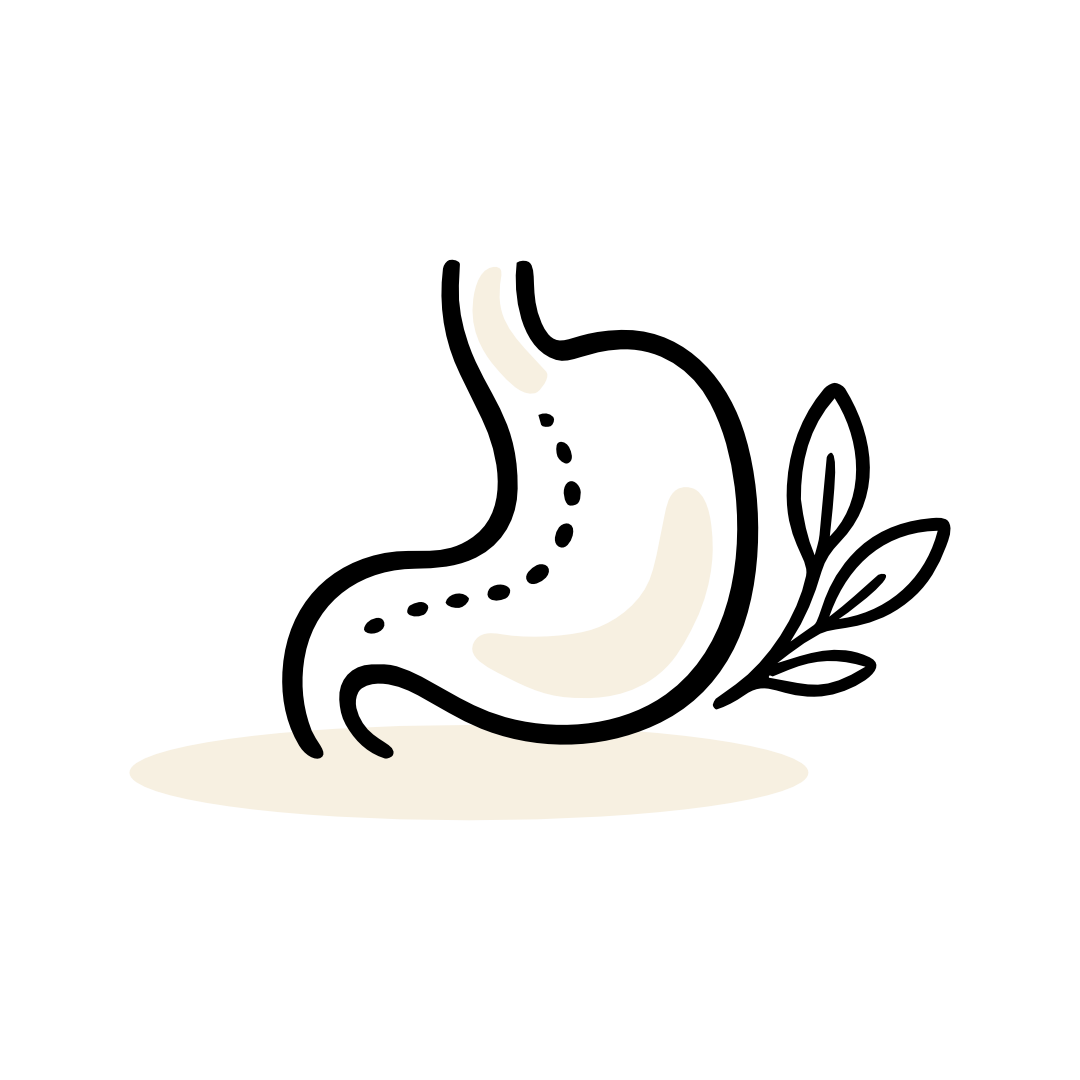 Digestion - Compléments Alimentaires