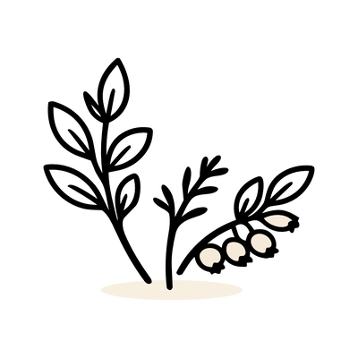 Plantes / Phytothérapie - Compléments Alimentaires