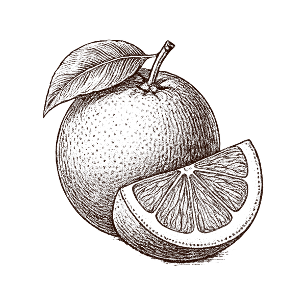 Vitamines - Compléments alimentaires