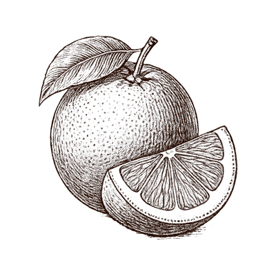 Vitamines - Compléments alimentaires