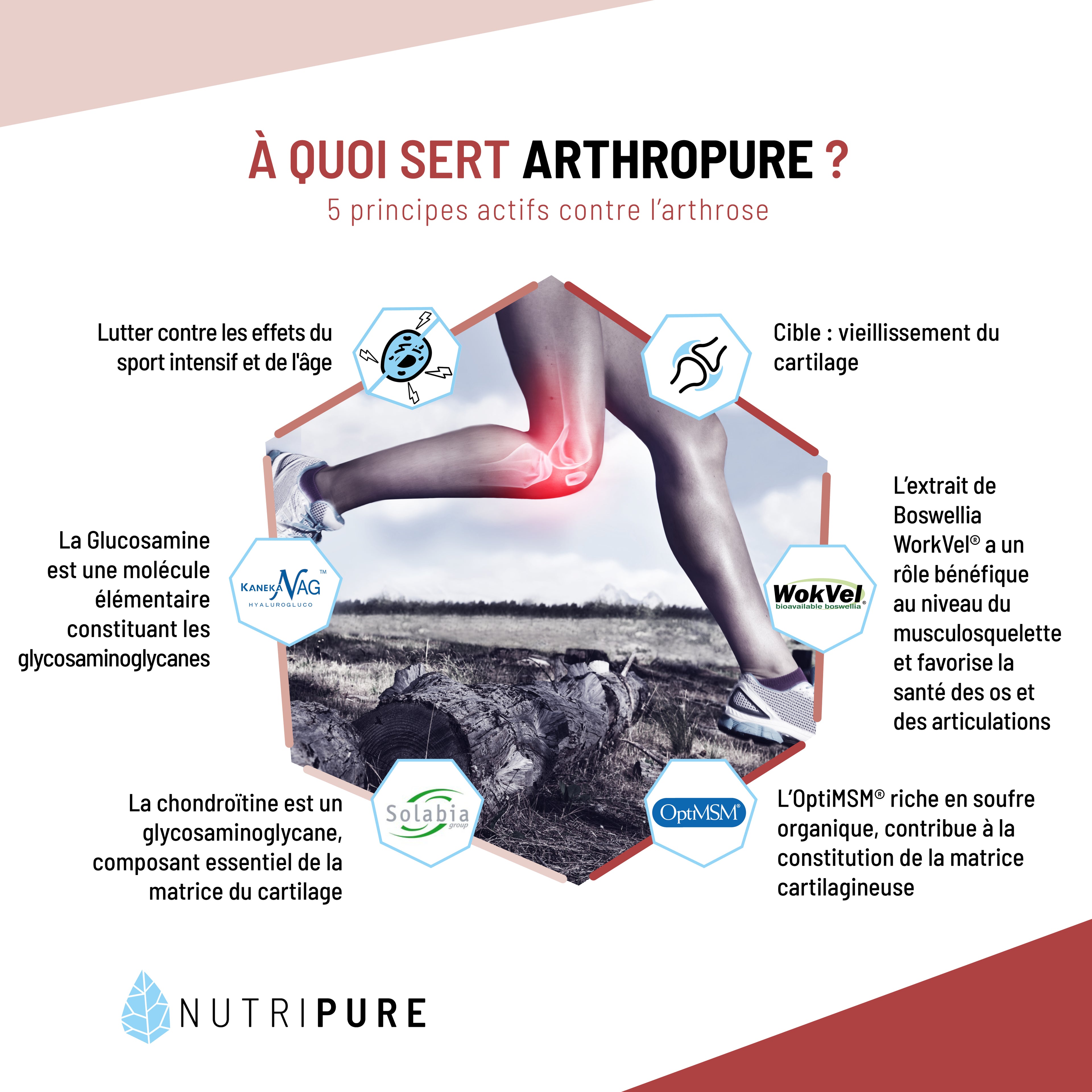 Arthropure Nutripure - Soutien Cartilages et Articulations