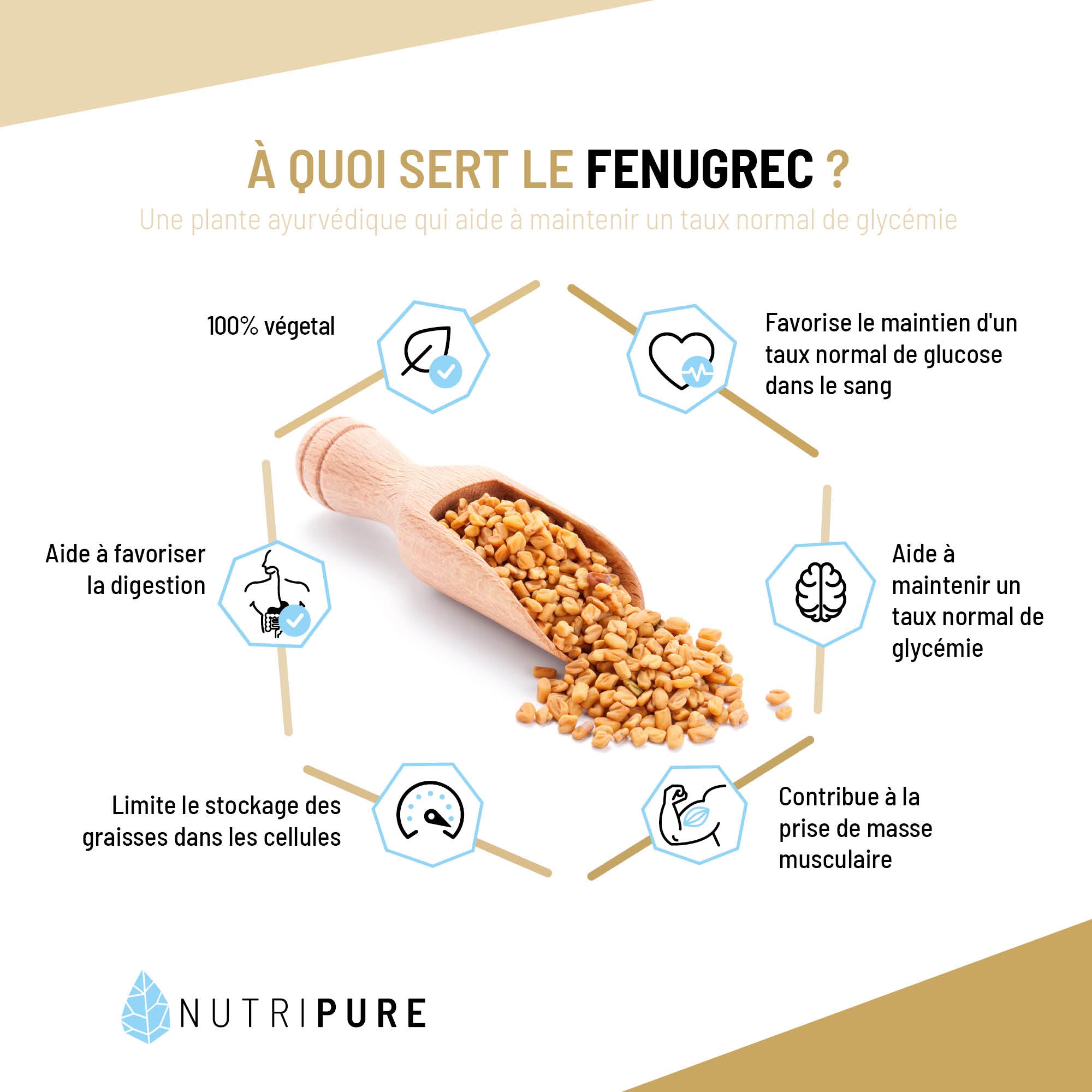 Fenugrec Nutripure - Régulation Glycémie et Digestion