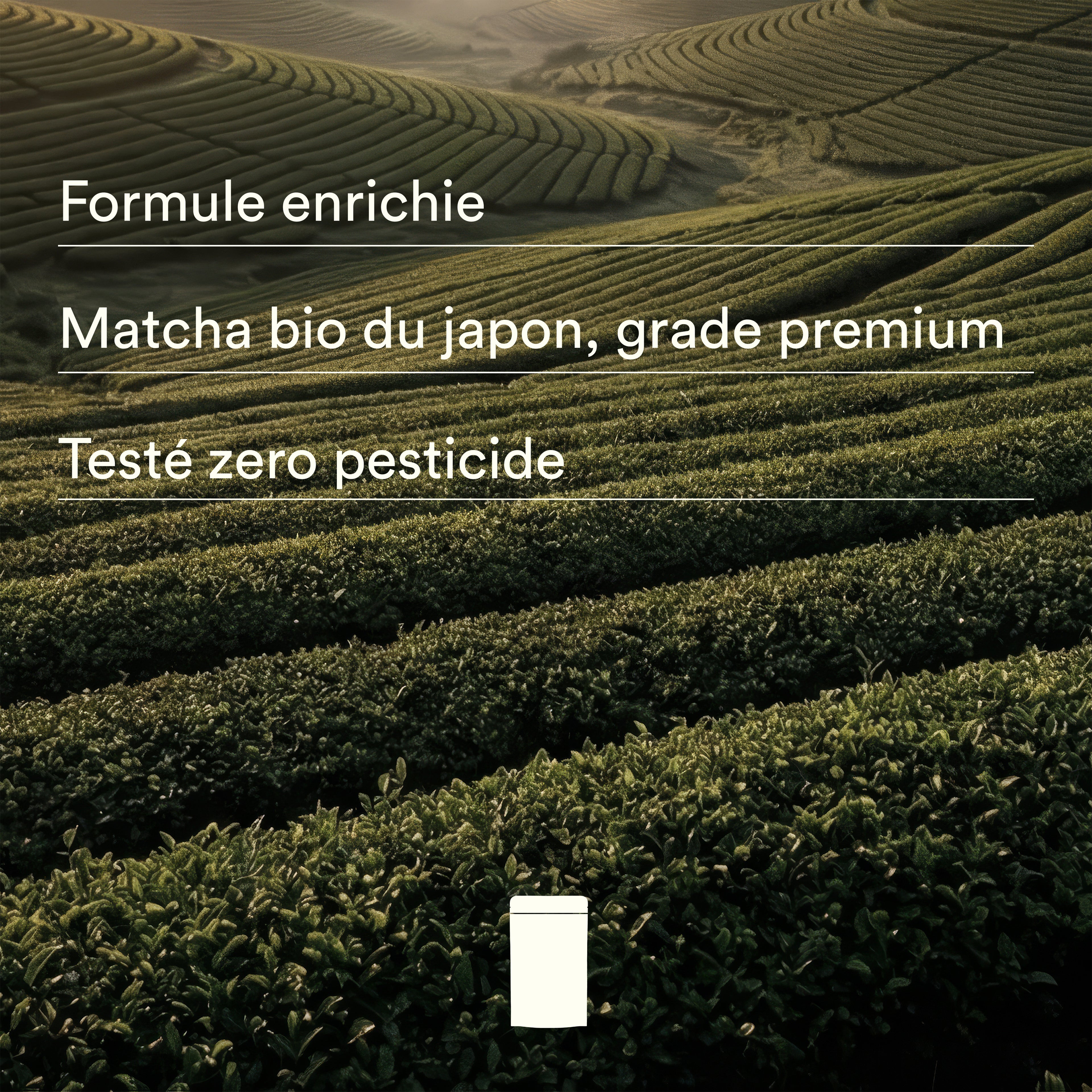 Thé Matcha+ Lummi Bio en Poudre – Rituel Beauté et Énergie