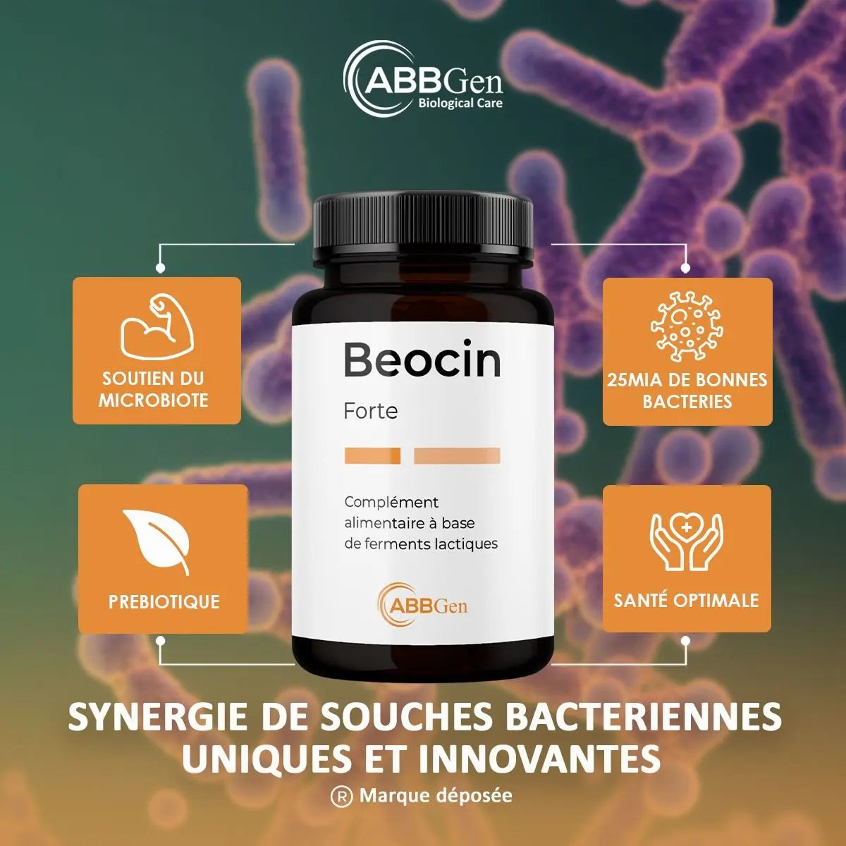 BEOCIN Forte - Probiotique - Rééquilibrage Microbiote Intestinal