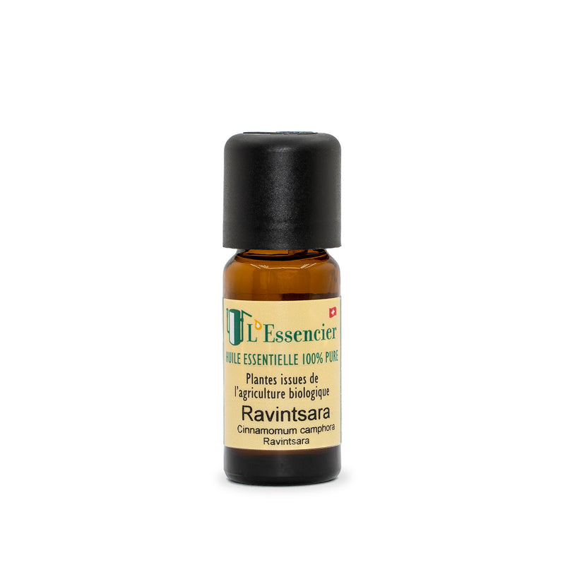 L'Essencier Huile Essentielle de Ravintsara Bio